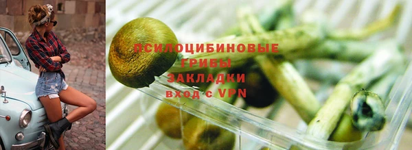 индика Алзамай