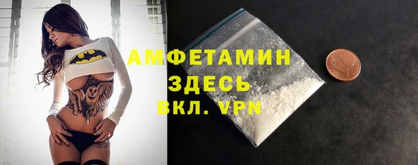 индика Алзамай