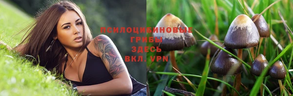 кристаллы Алексин