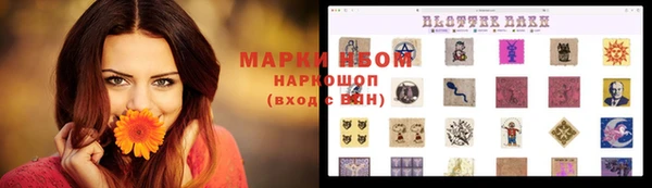 индика Алзамай