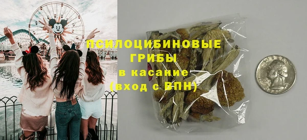 индика Алзамай