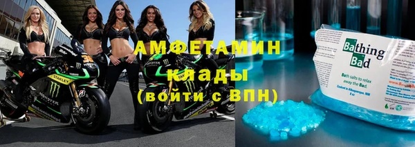 индика Алзамай