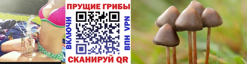 МЕГА маркетплейс где найти Хотьково Галлюциногенные грибы ЛСД